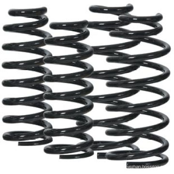 Black Powder Coated Coil Springs